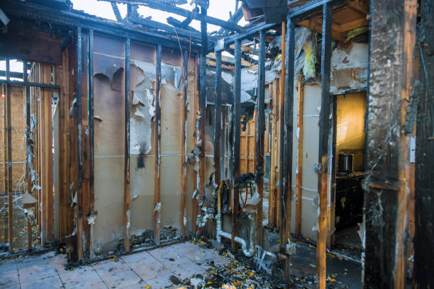 Professional Fire Damage Removal technician working in Alorton, IL